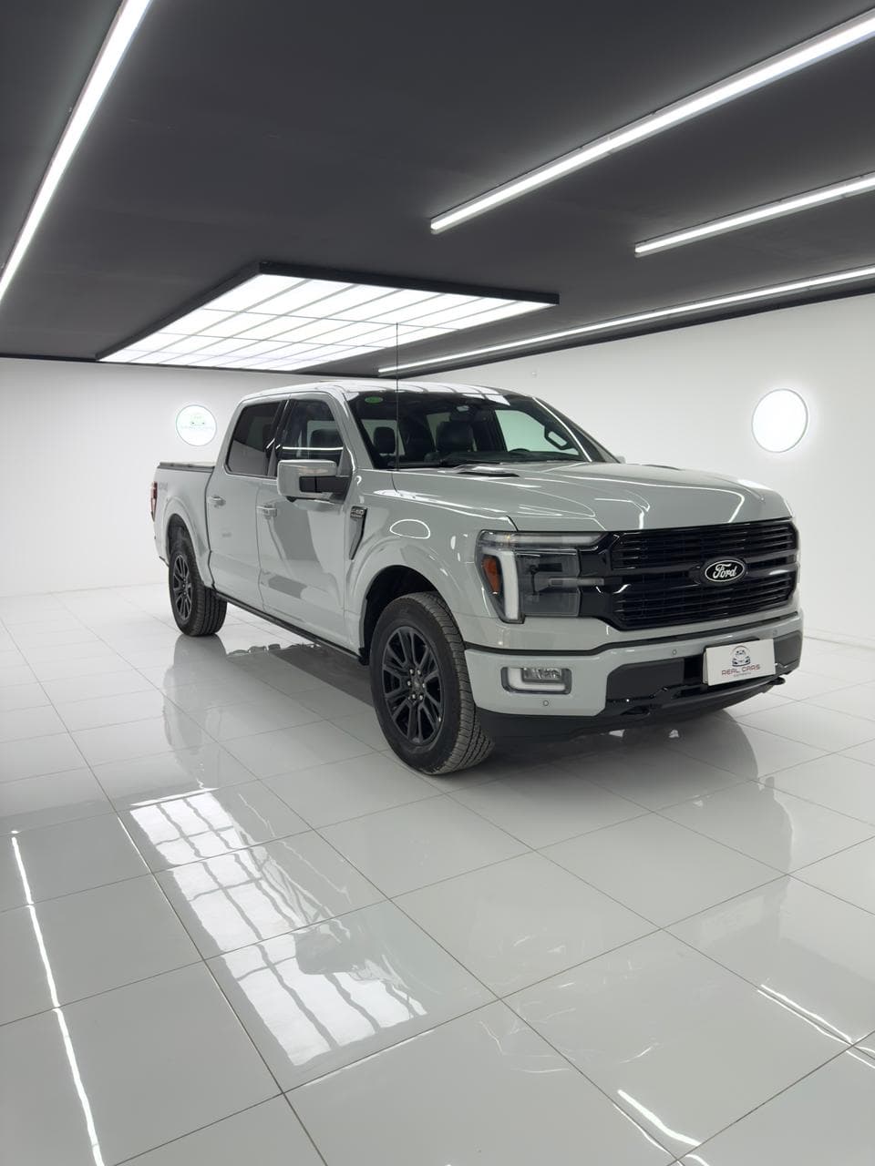 Ford F150 PLATINUM - miniatura 2