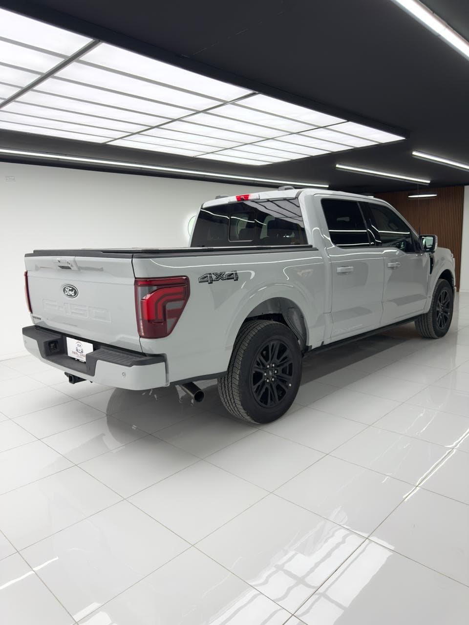 Ford F150 PLATINUM - miniatura 3