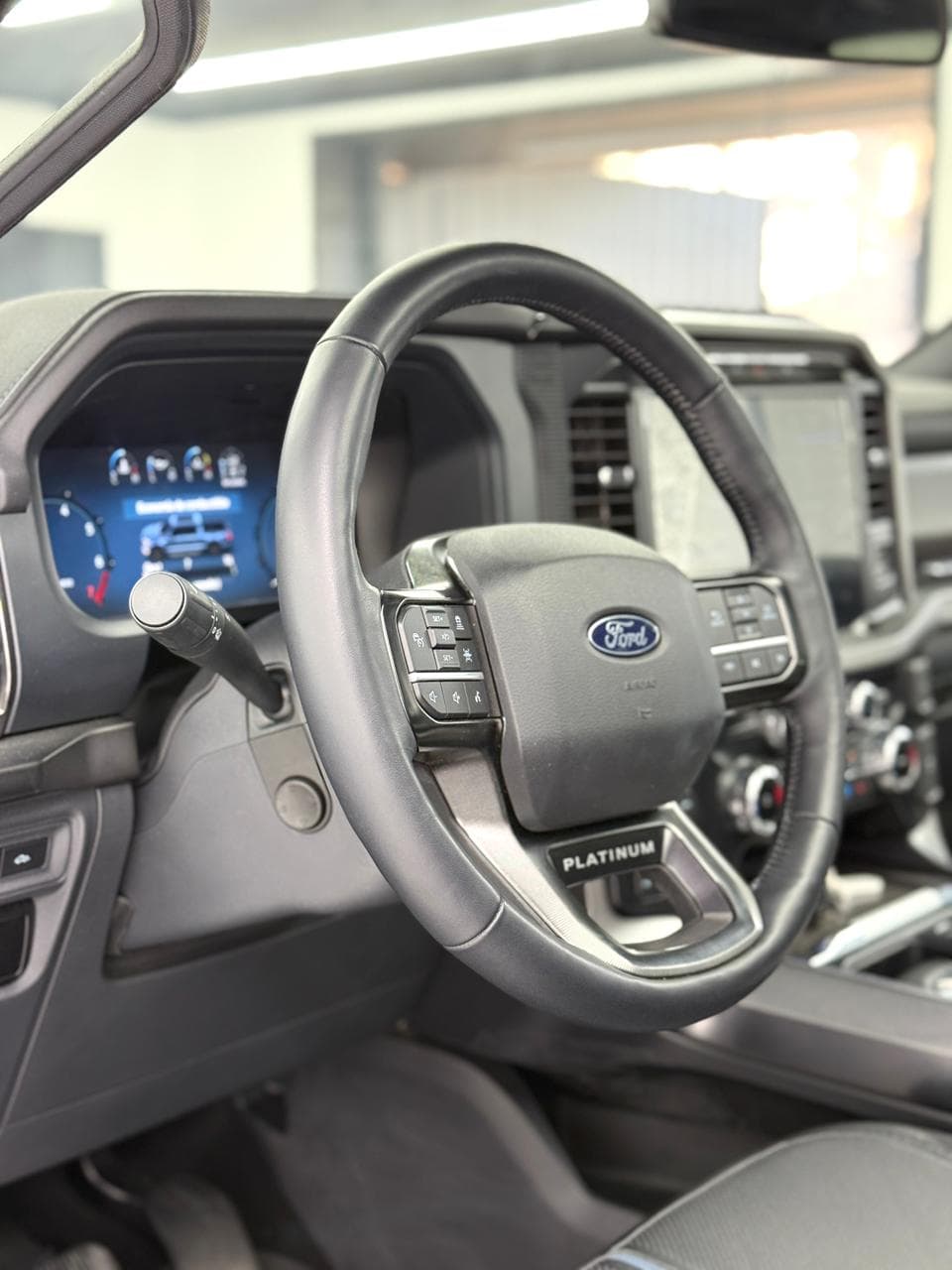 Ford F150 PLATINUM - miniatura 5